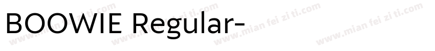 BOOWIE Regular字体转换